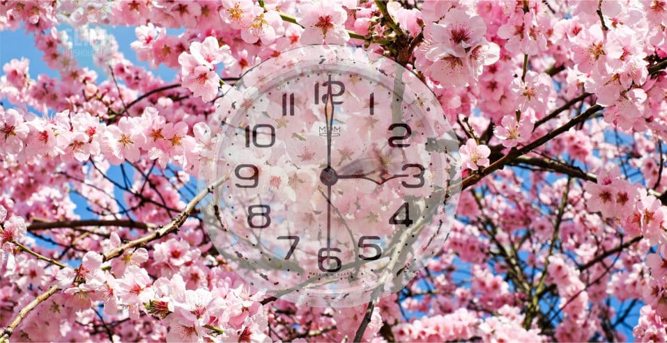 Zomertijd blog zomertijd