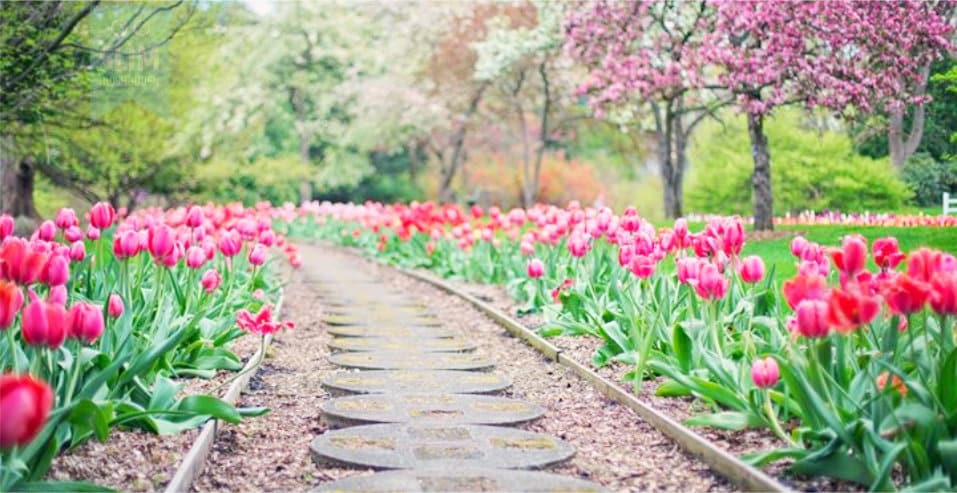 maar de lente wist het niet