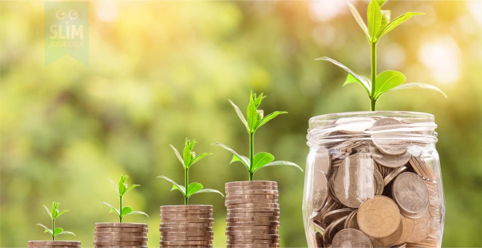 geld beginnen met beleggen