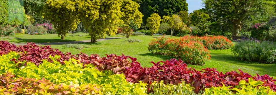 Park