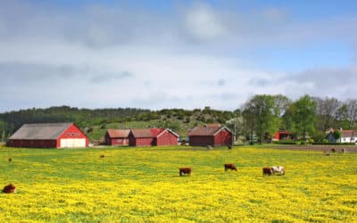 Welke verzekering zou iedere agrariër moeten hebben?