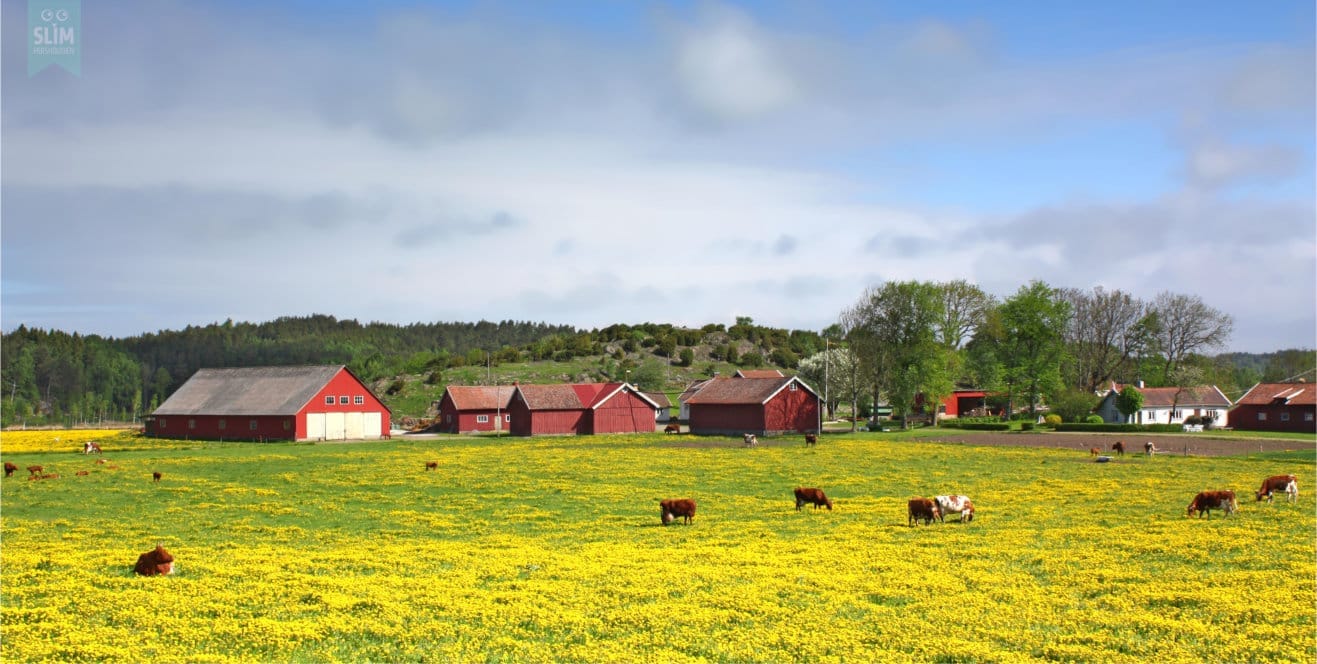 Boerderij