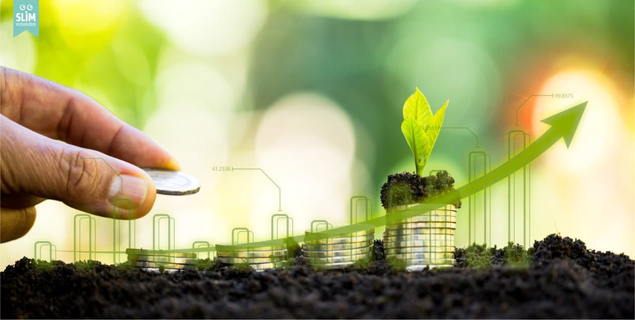 Stapeltjes muntstukken groen plantje 2024 Dreamstime 305387930 televisie op standby
