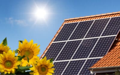 Bespaar maximaal met zonnepanelen op je huis