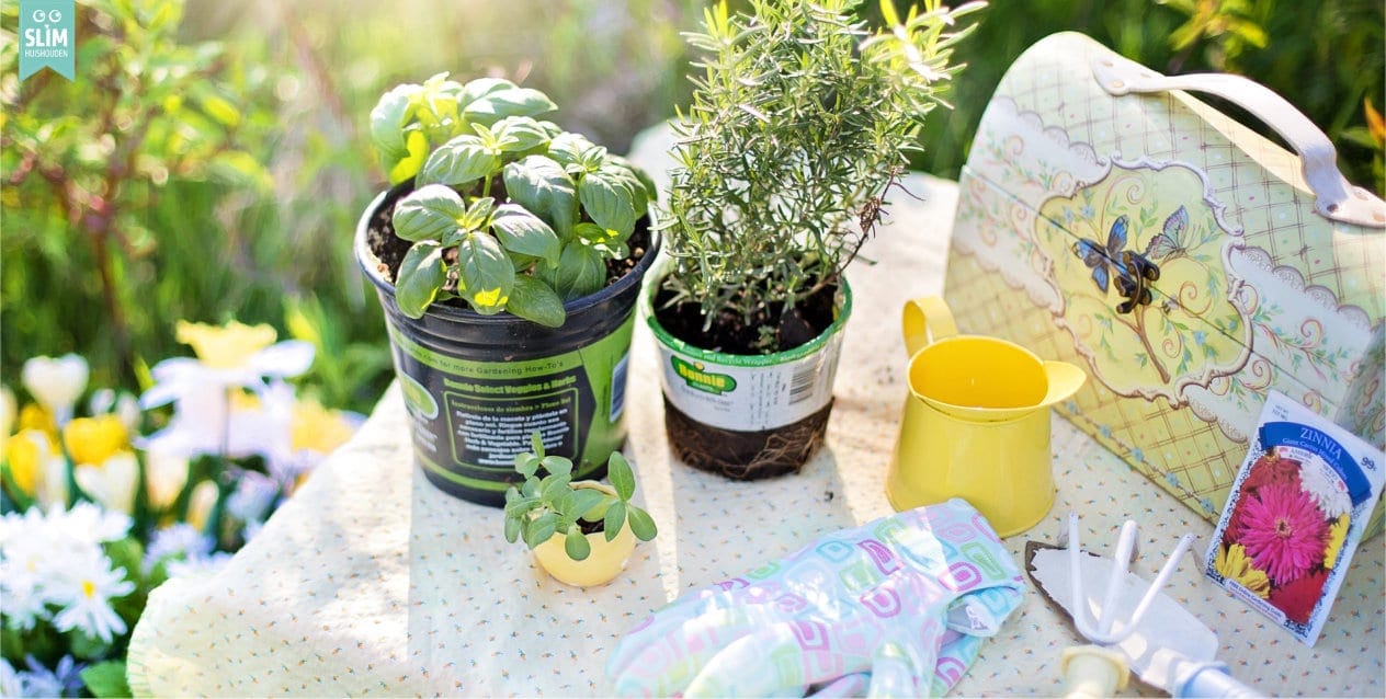 Blog overzicht tuinkalenders 2024 pixabay planting-780736_1920 (1)