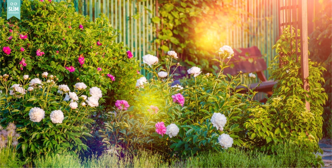 Alles voor een perfecte tuin