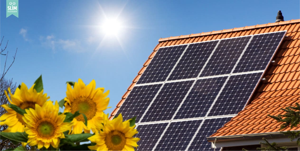 Zonnepanelen op rood dak zonnebloemen 2024 Dreamstime 102267086 Wat is een opstalverzekering