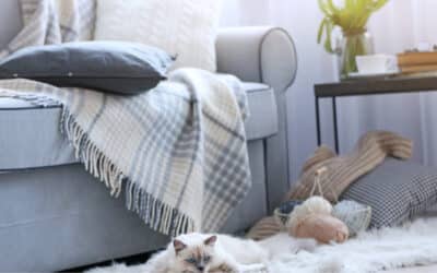 2 wekenschema week 43 vanaf maandag 20 oktober