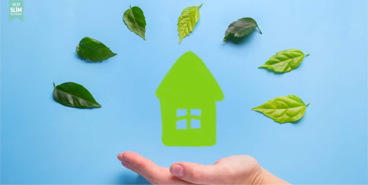 Groen huisje en bladeren tegen een blauwe achtergrond, symbool voor duurzame energie en milieuvriendelijke innovatie