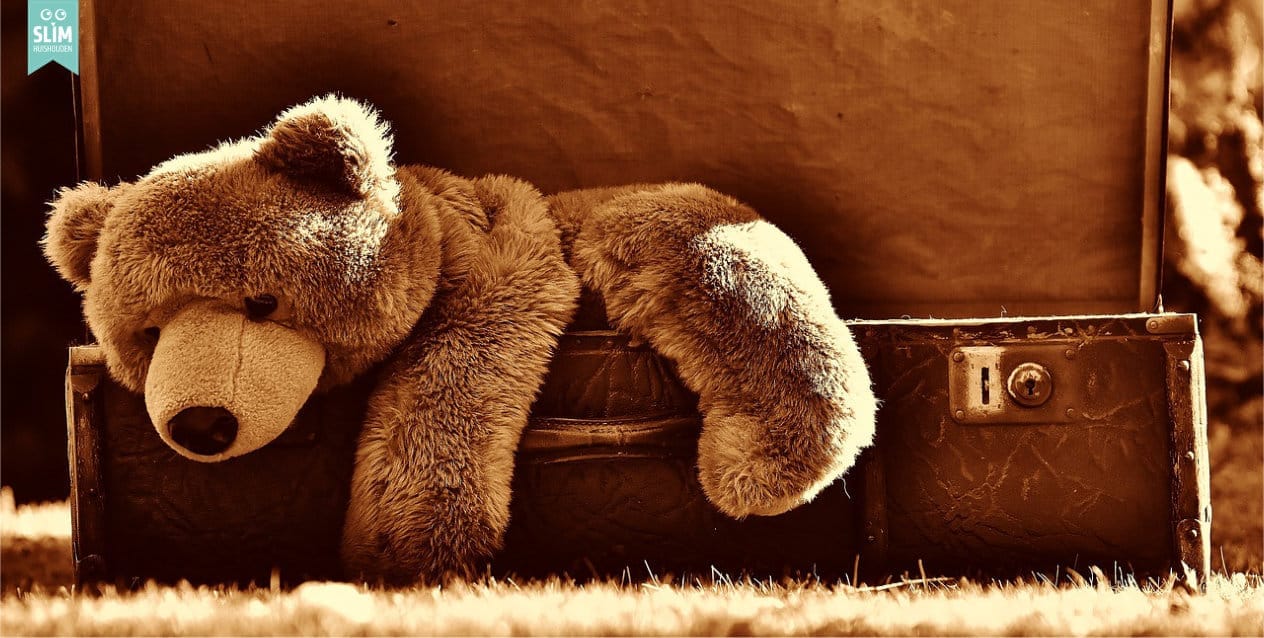 Teddybeer in vintage koffer 2024 pixabay luggage-1799224_1280 Weekschema week 48