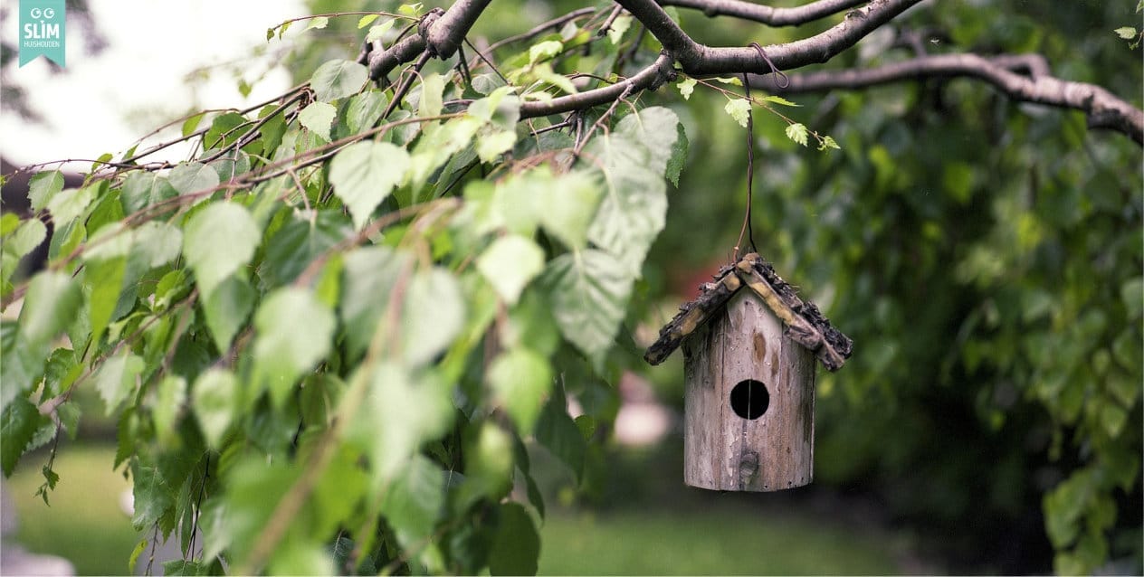 Blog Gezellige buitenruimte tuin 5 maart 2026 Pixabay brenkee-bird-feeder-2344414_1920