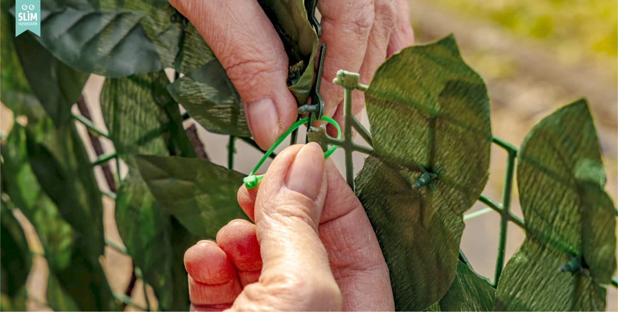 twee handen binden klimplant vast 