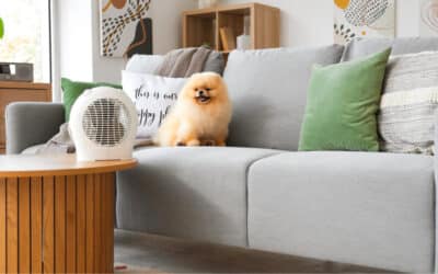 Koel en rustig wonen tijdens warme dagen