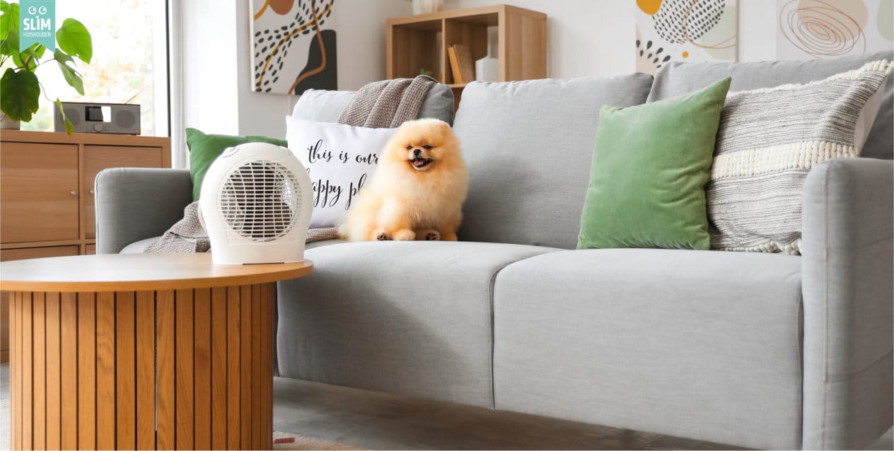 Bank met hond die geniet van koele lucht